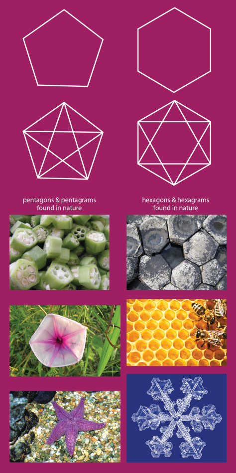 pentagon_hexagon